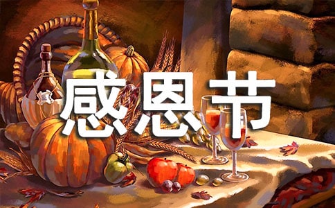 【热】幼儿园感恩节活动总结(精选15篇)