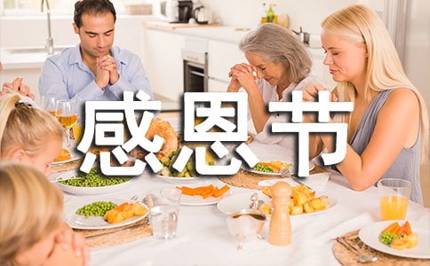【推荐】感恩节主题活动总结(通用15篇)
