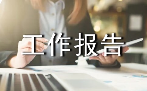个人工作报告