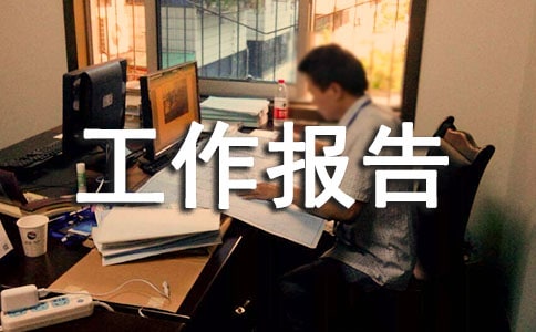 年度工作报告最新