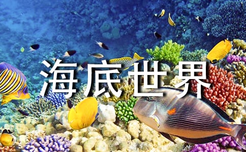 (热门)《海底世界》教学反思