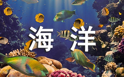 海洋观后感
