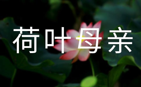 荷叶母亲教学反思(12篇)