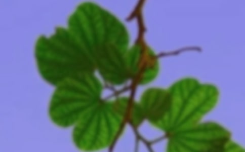 夫妻和谐保证书范文