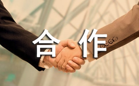 个人项目合作协议