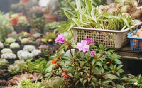 花店花卉采购合同通用