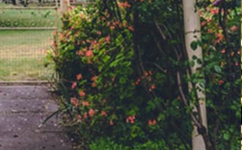 二手花园别墅出租合同