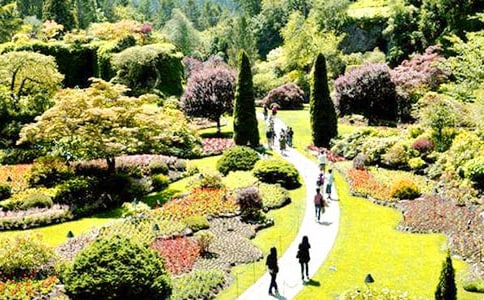 花园教学反思15篇