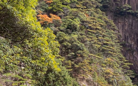 黄山奇石教学反思15篇