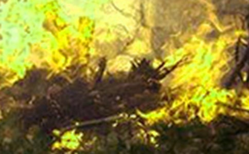 森林火灾隐患排查整治工作总结