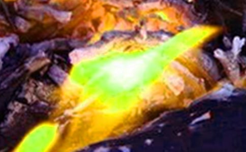 今冬明春火灾防控工作方案