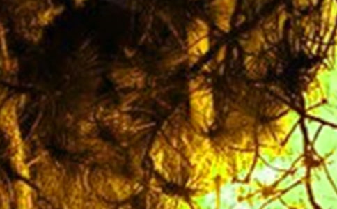 冬春火灾防控工作方案(通用16篇)