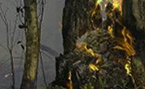 火灾隐患排查整治工作总结(15篇)