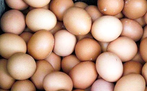 保护鸡蛋教学反思