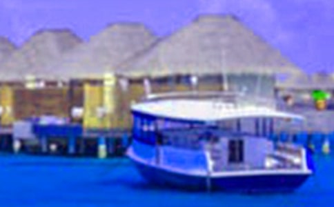 假期社会实践活动总结 15篇