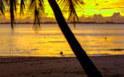 假期社会实践活动总结