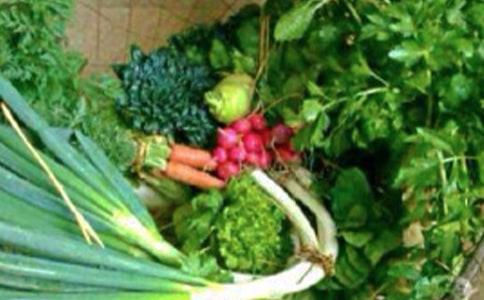 心理健康活动总结(15篇)