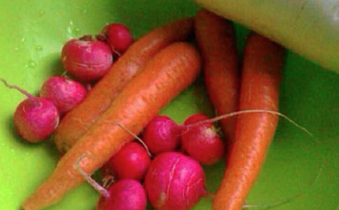 大学生心理健康活动总结(通用20篇)