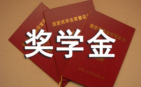 2022大三国家励志奖学金申请书