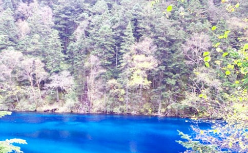 九寨沟教学反思