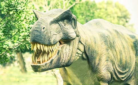 《恐龙的灭绝》教学反思