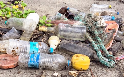 捡垃圾活动总结