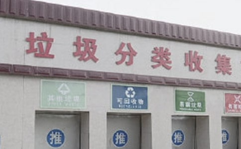 小学生垃圾分类社会实践活动总结