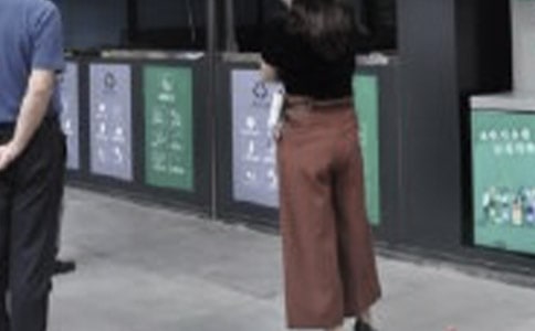 垃圾分类主题活动的总结