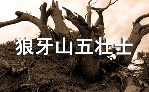 《狼牙山五壮士》教学反思