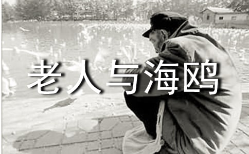 老人与海鸥教学反思
