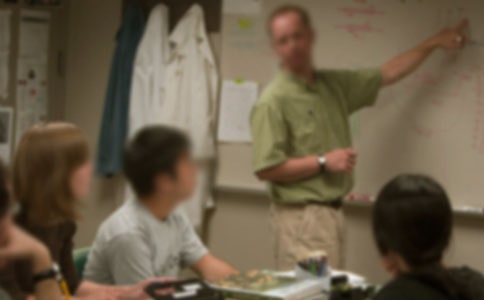 四年级语文老师工作总结