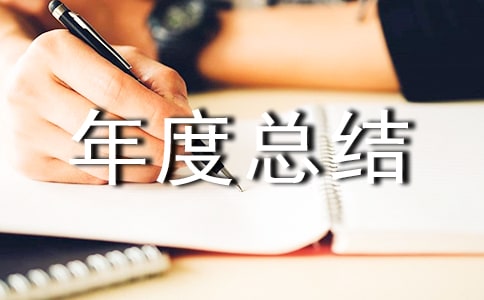 安保工作年度总结