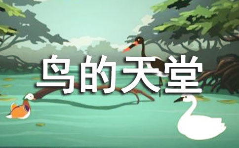 (精)《鸟的天堂》教学反思