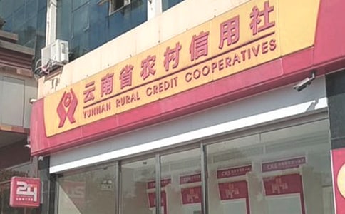 最新农村信用社年终工作总结