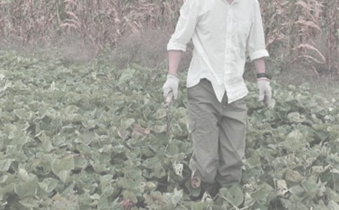 农作物种子购买合同6篇