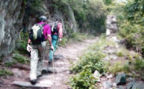 爬山活动总结(合集15篇)