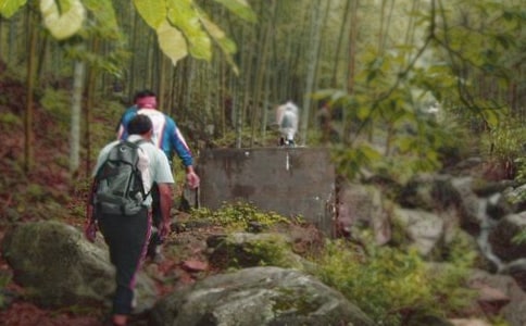 (热)爬山虎的脚教学反思