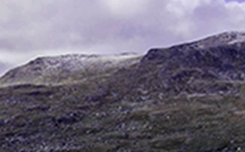 爬山虎的脚教学反思(合集15篇)