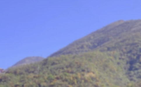 《爬山虎的脚》教学反思合集15篇