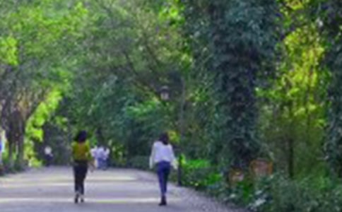 单位爬山活动总结