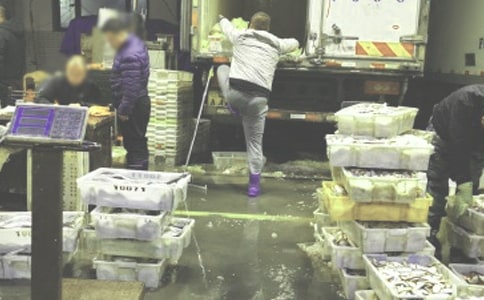 商品批发购销合同