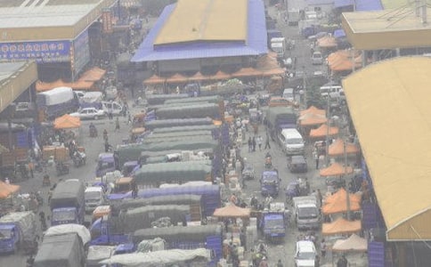 食用虾批发合同书