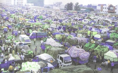 服装批发合同12篇