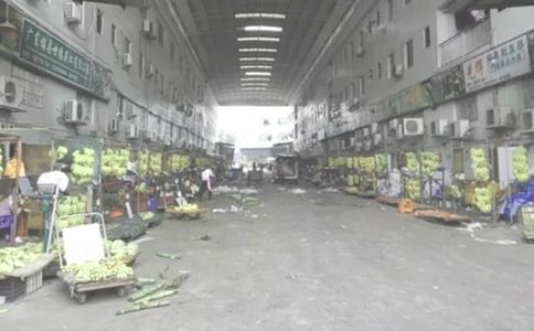 杏鲍菇批发合同