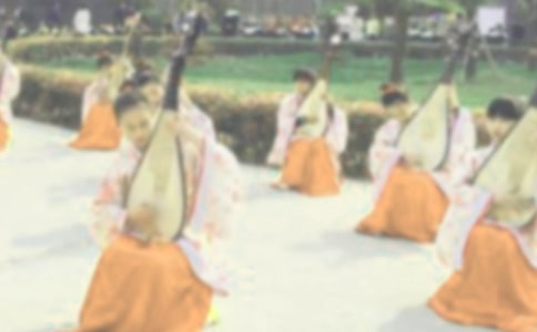 琵琶行教学反思