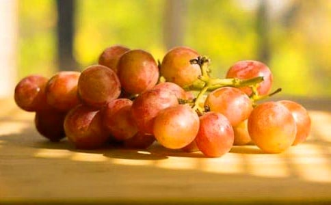 《葡萄沟》教学反思汇编15篇