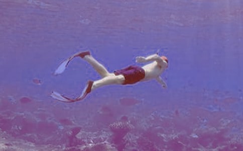 租用潜水船及潜水人员合同(6篇)