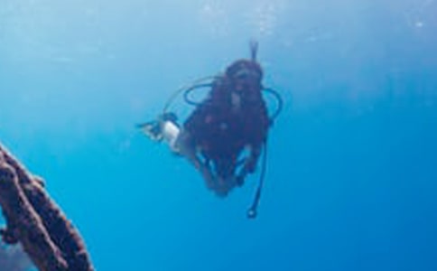 租用潜水船及潜水人员合同7篇