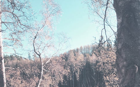 学前班秋季学期班务工作总结