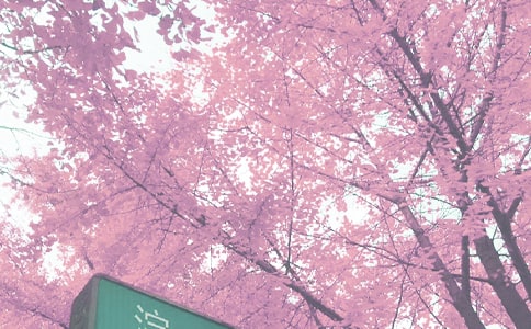 秋季中学工作计划锦集7篇